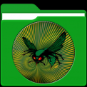 mns-greenhornet2