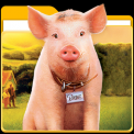 mns-babepig