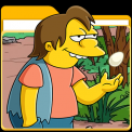mns-simpsons53