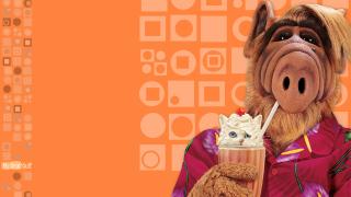 ALF 04