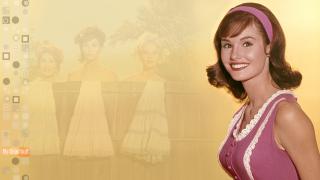 Petticoat Junction 04