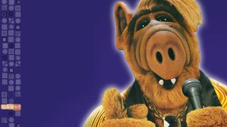 ALF 03