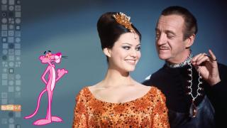 Pink Panther 03