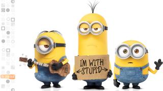 Minions 04