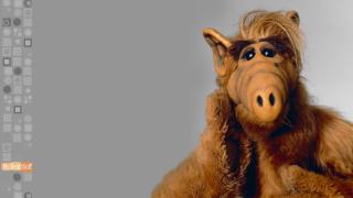 ALF 02